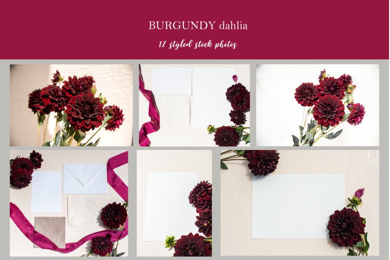 burgundy-dahlia-styled-photos