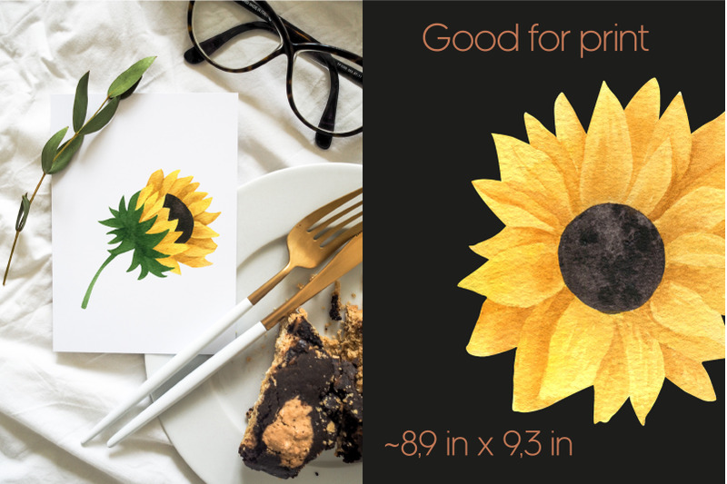 sunflower-watercolor-clipart-sunflower-png
