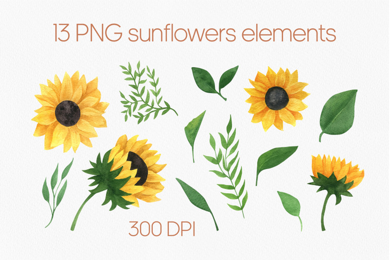 sunflower-watercolor-clipart-sunflower-png