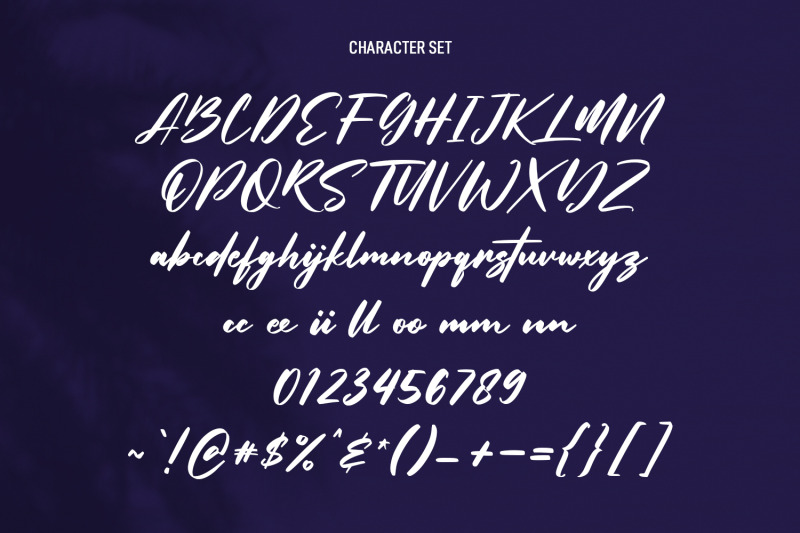 overtis-signature-script-font