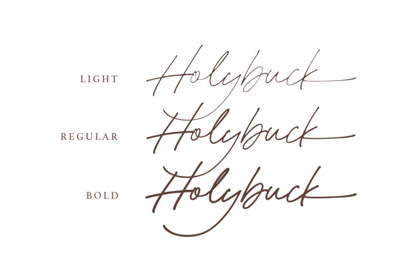 holybuck-signature-font-family