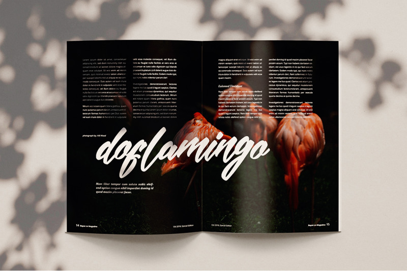 baper-magazine-template