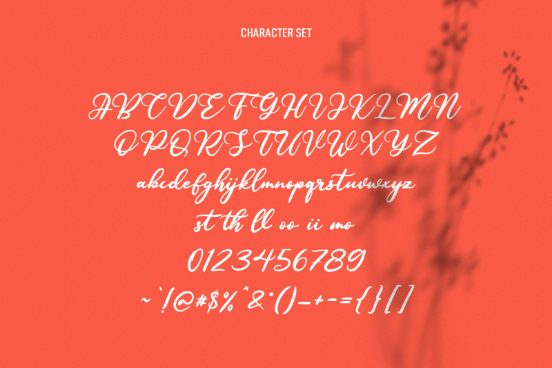 younglines-script-font