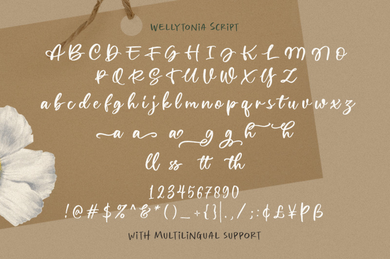 wellytonia-package-font-trio