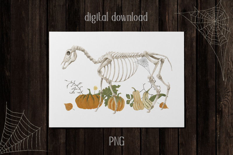 halloween-horse-skeleton-poster-png