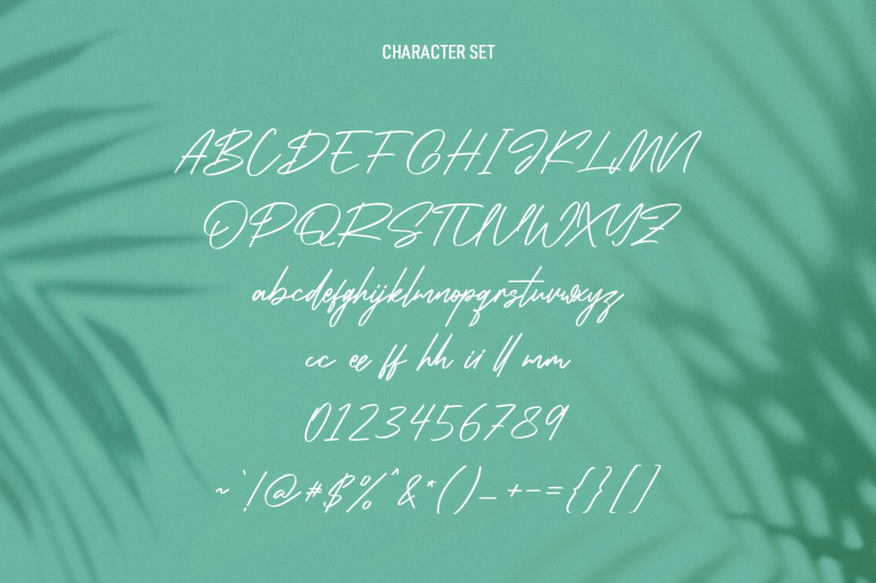 infamous-rush-signature-script-font