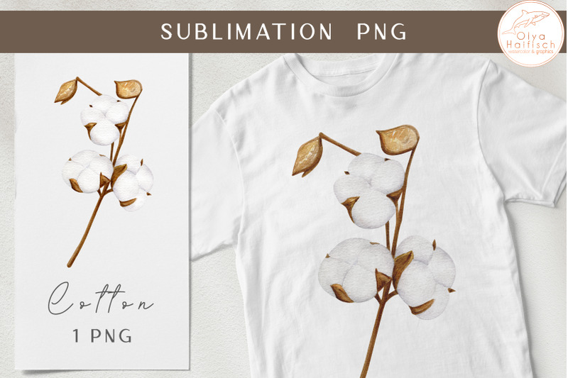 watercolor-cotton-branch-clipart-botanical-sublimation-png