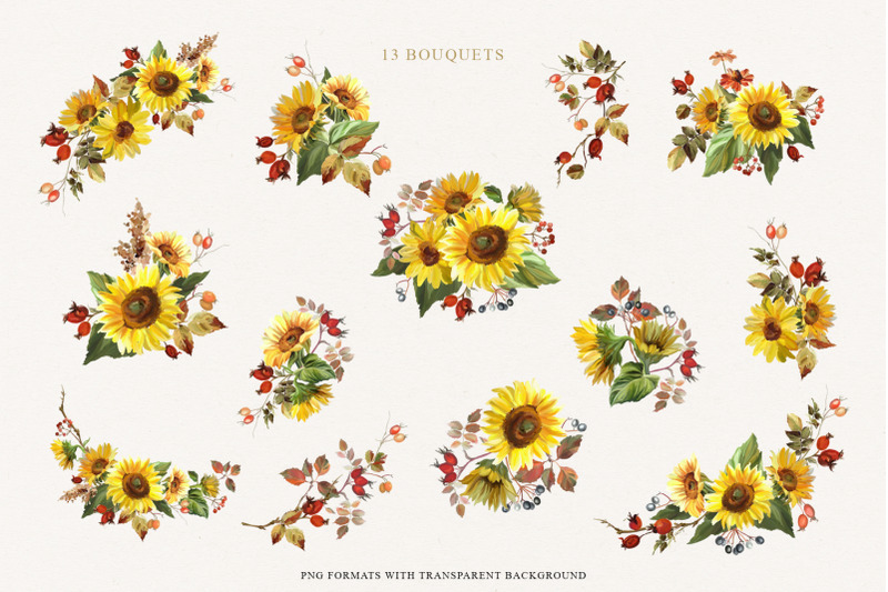 sunflowers-amp-rosehip