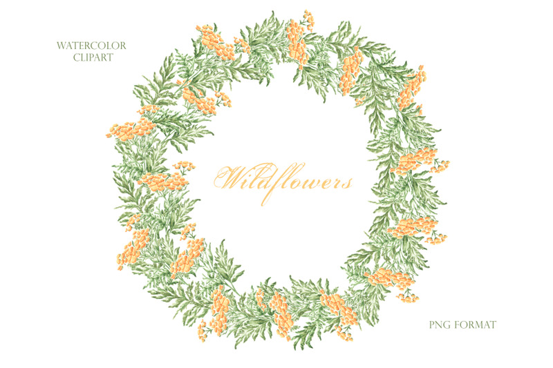 wildflowers-wreath-watercolor-clipart-meadow-flowers-wildflowers