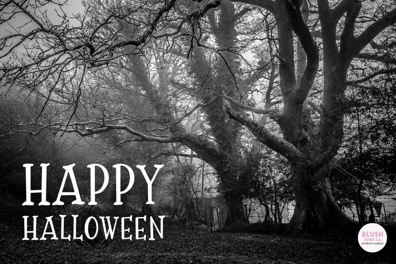scary-night-halloween-font