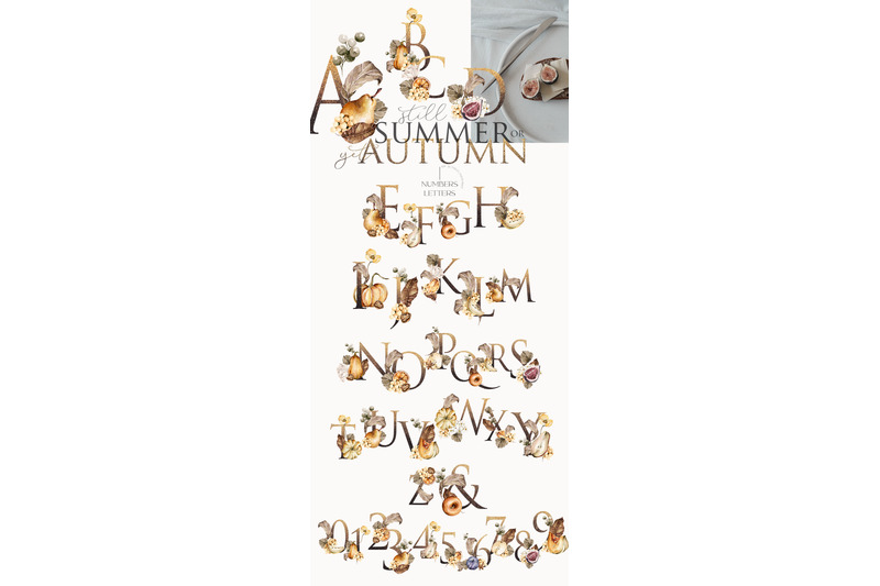 summer-or-autumn-watercolor-clipart-fall-floral-collection