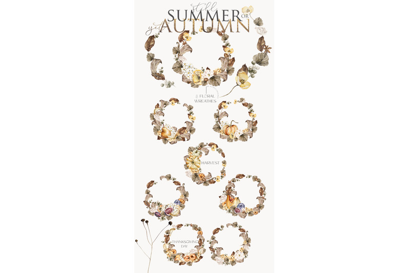 summer-or-autumn-watercolor-clipart-fall-floral-collection