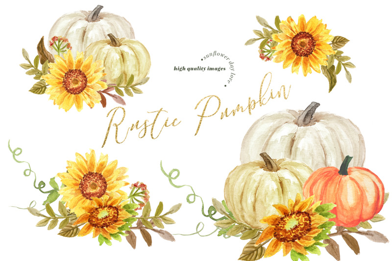 rustic-pumpkin-sunflowers-clipart-white-pumpkin-clipart-sunflowers