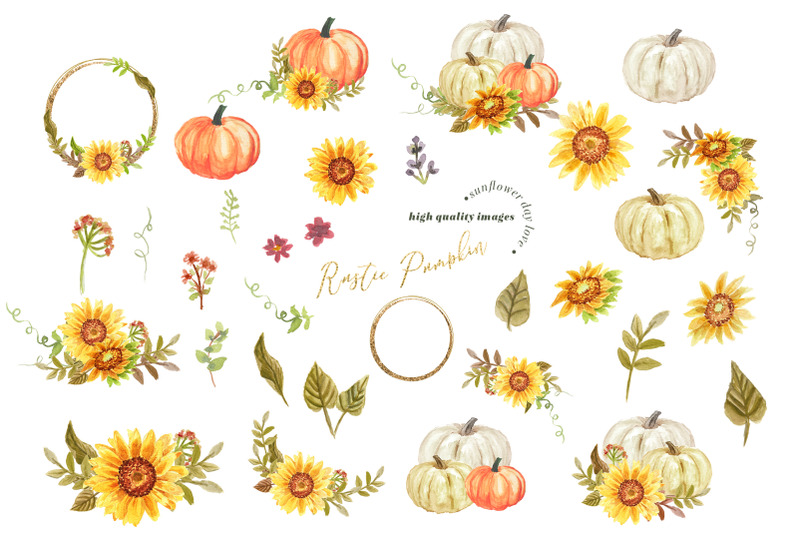 rustic-pumpkin-sunflowers-clipart-white-pumpkin-clipart-sunflowers