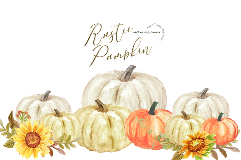 rustic-pumpkin-sunflowers-clipart-white-pumpkin-clipart-sunflowers