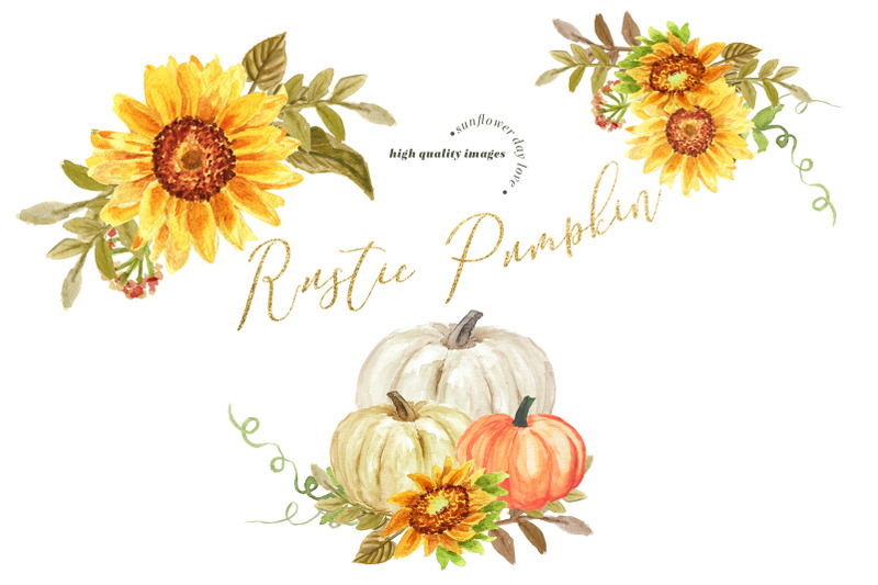 rustic-pumpkin-sunflowers-clipart-white-pumpkin-clipart-sunflowers