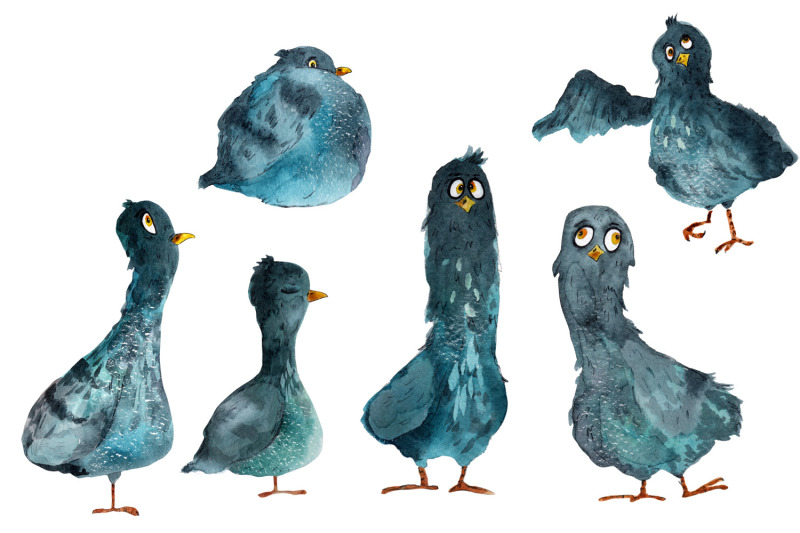 collection-of-watercolors-pigeons