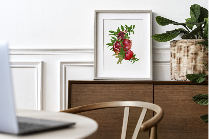 pomegranate-png-fruit-clip-art-sublimation-png-botanic-illustration
