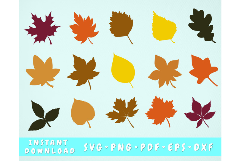 fall-leaves-svg-bundle-15-designs-fall-leaves-cut-files