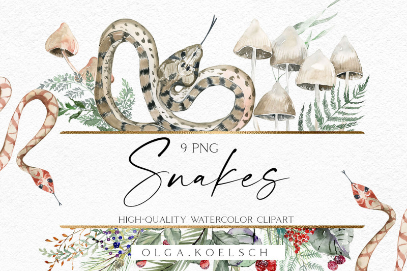 watercolor-cute-snake-decor-forest-animals-snake-clipart-fairytale