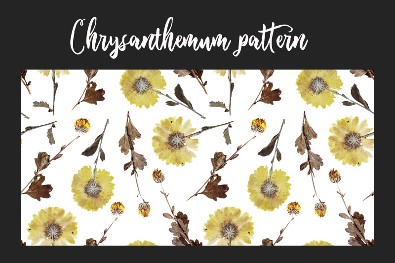 autumn-pattern-png-jpeg-real-flowers