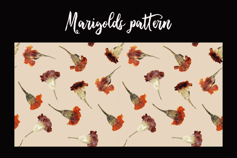 marigolds-autumn-pattern-png-jpeg-real-flowers