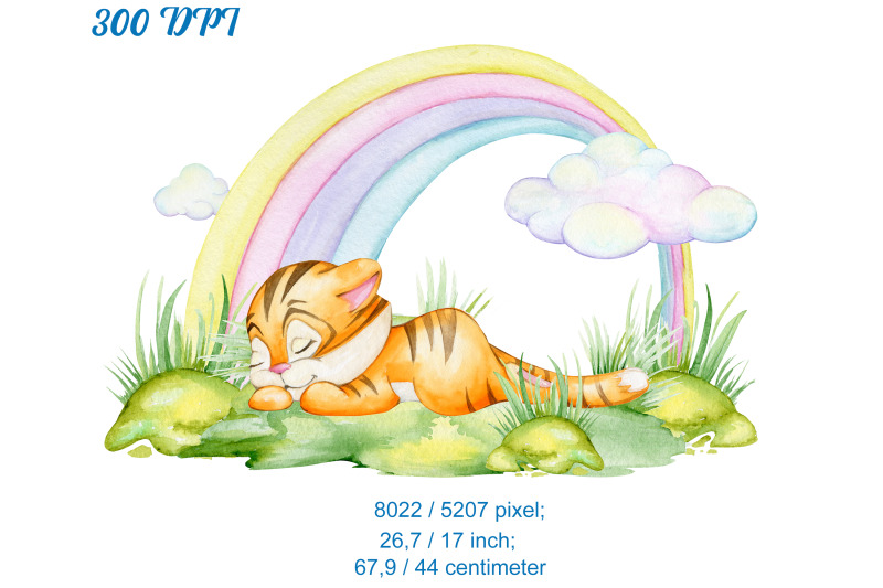 tiger-rainbow-clouds-nature-cute-tiger-cub-baby-sleeping-waterc