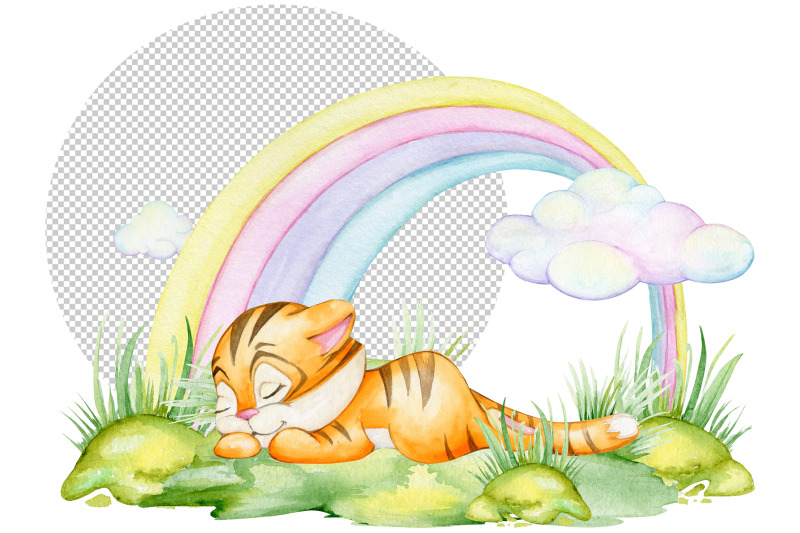 tiger-rainbow-clouds-nature-cute-tiger-cub-baby-sleeping-waterc