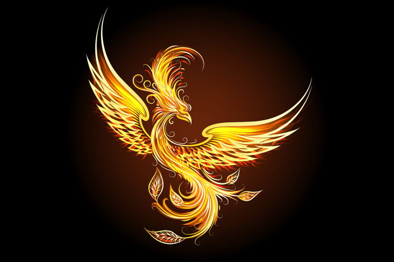fire-bird-phoenix-on-black-background