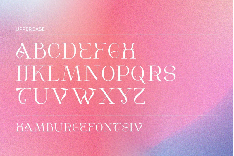 vako-mave-modern-serif