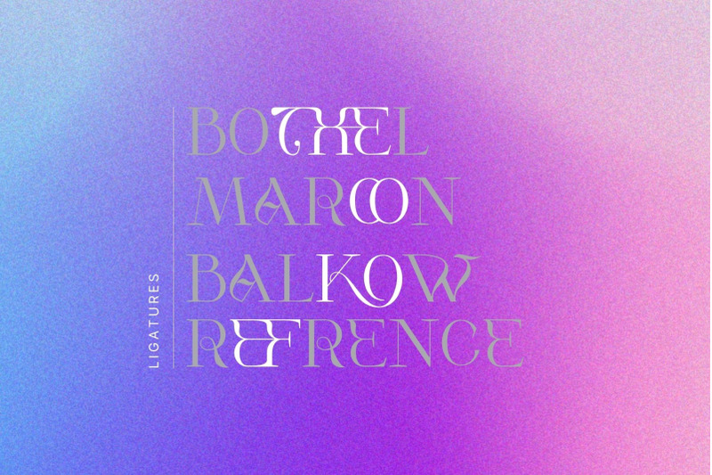 vako-mave-modern-serif