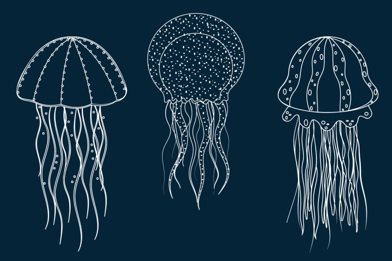 sea-jellyfish-black-contour-svg-format