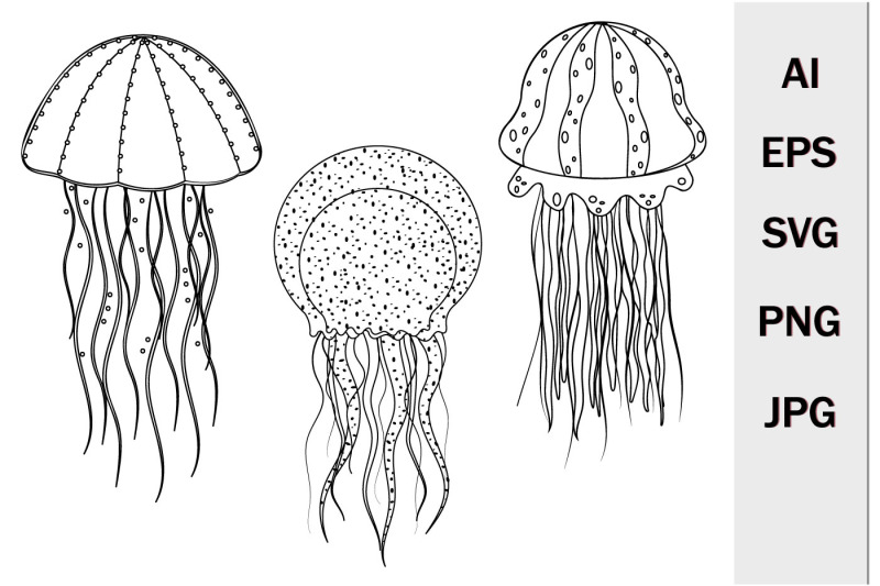 sea-jellyfish-black-contour-svg-format