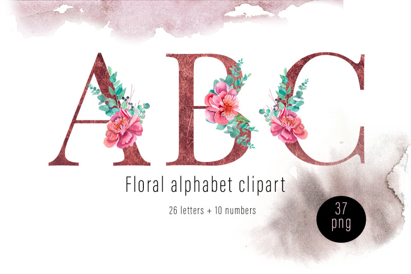 botanical-alphabet-pink-peonies-and-eucalyptus