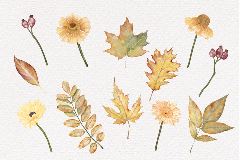 fall-watercolor-clipart-autumn-pumpkin-thanksgiving-day