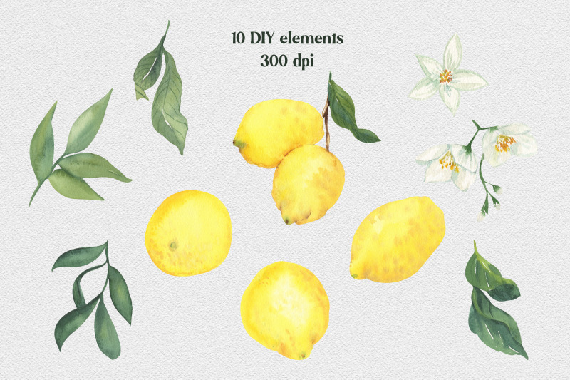 lemon-dreams-watercolor-citrus-clipart-20-png