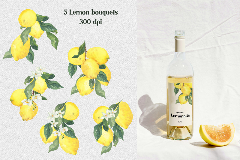 lemon-dreams-watercolor-citrus-clipart-20-png