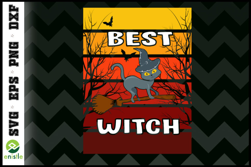 best-witch-funny-cat-halloween-broom