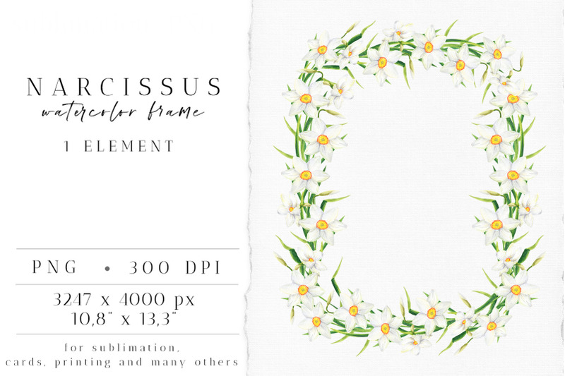 watercolor-narcissus-floral-frame-white-flowers-wreath-png