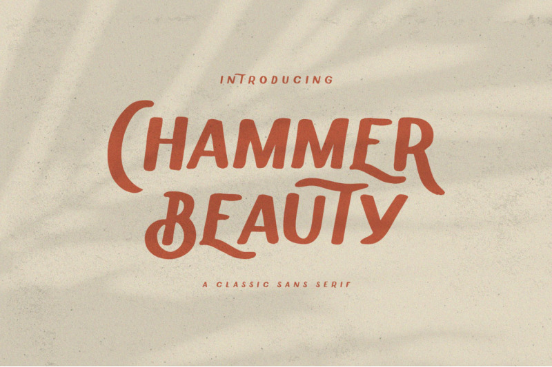 chammer-beauty-classic-sans-serif