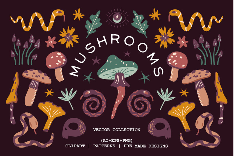 mushrooms-vector-collection