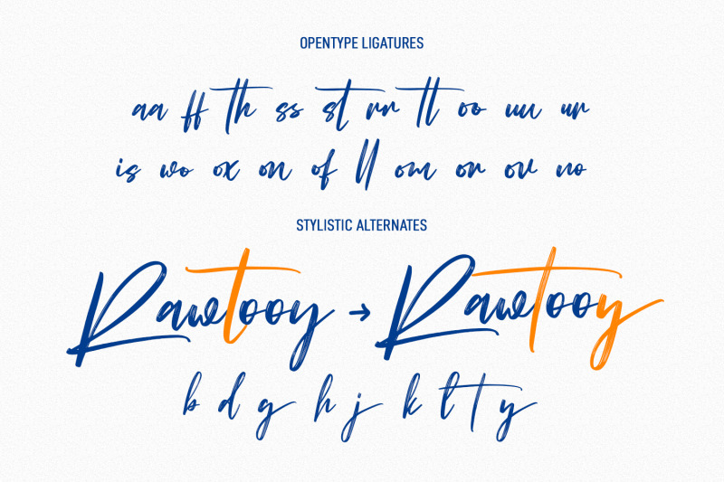 ronny-catuss-signature-brush-font