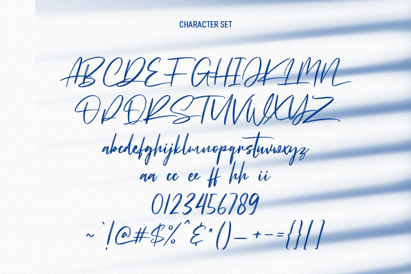 ronny-catuss-signature-brush-font