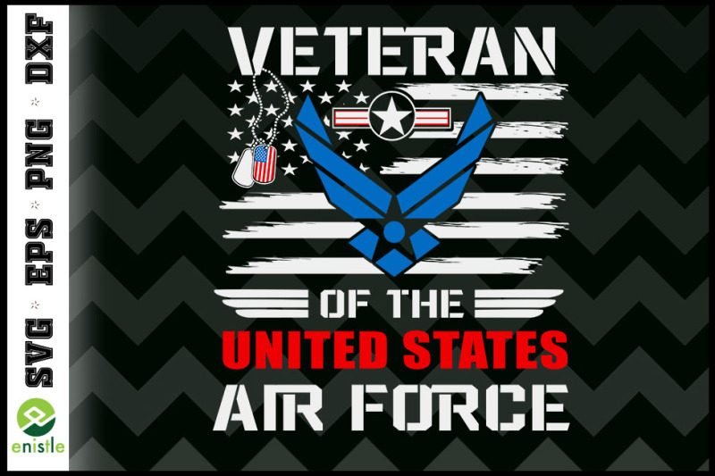 veteran-of-the-u-s-air-force-vintage