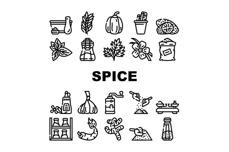 spice-vegetable-food-collection-icons-set-vector