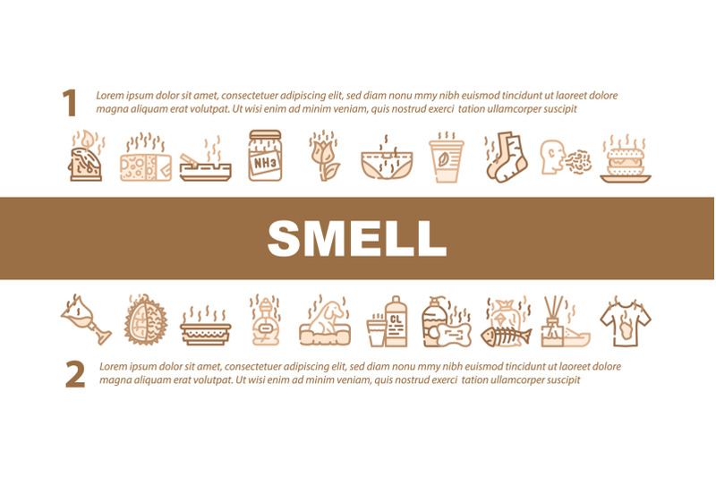 smell-feel-and-sense-landing-header-vector