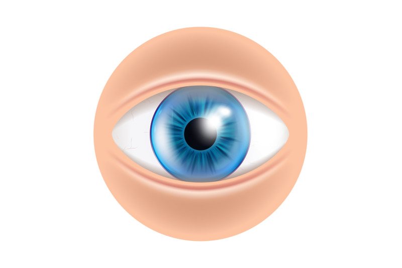 eye-human-facial-organ-with-contact-lenses-vector