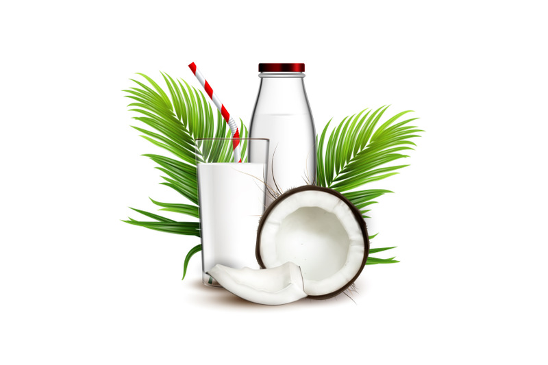 coconut-milk-natural-drink-and-palm-branch-vector