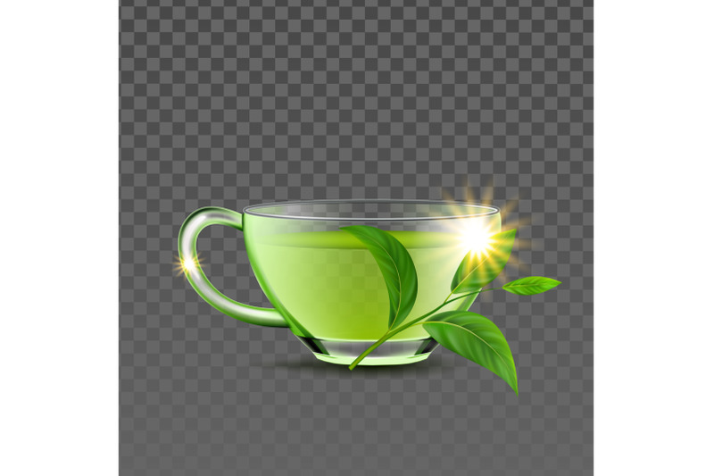 green-tea-cup-and-natural-branch-leaves-vector