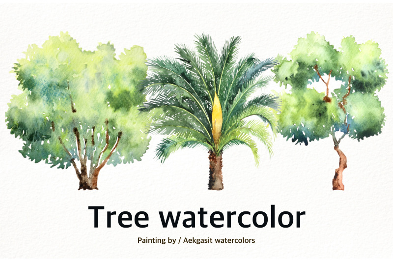 tree-watercolor-clipart